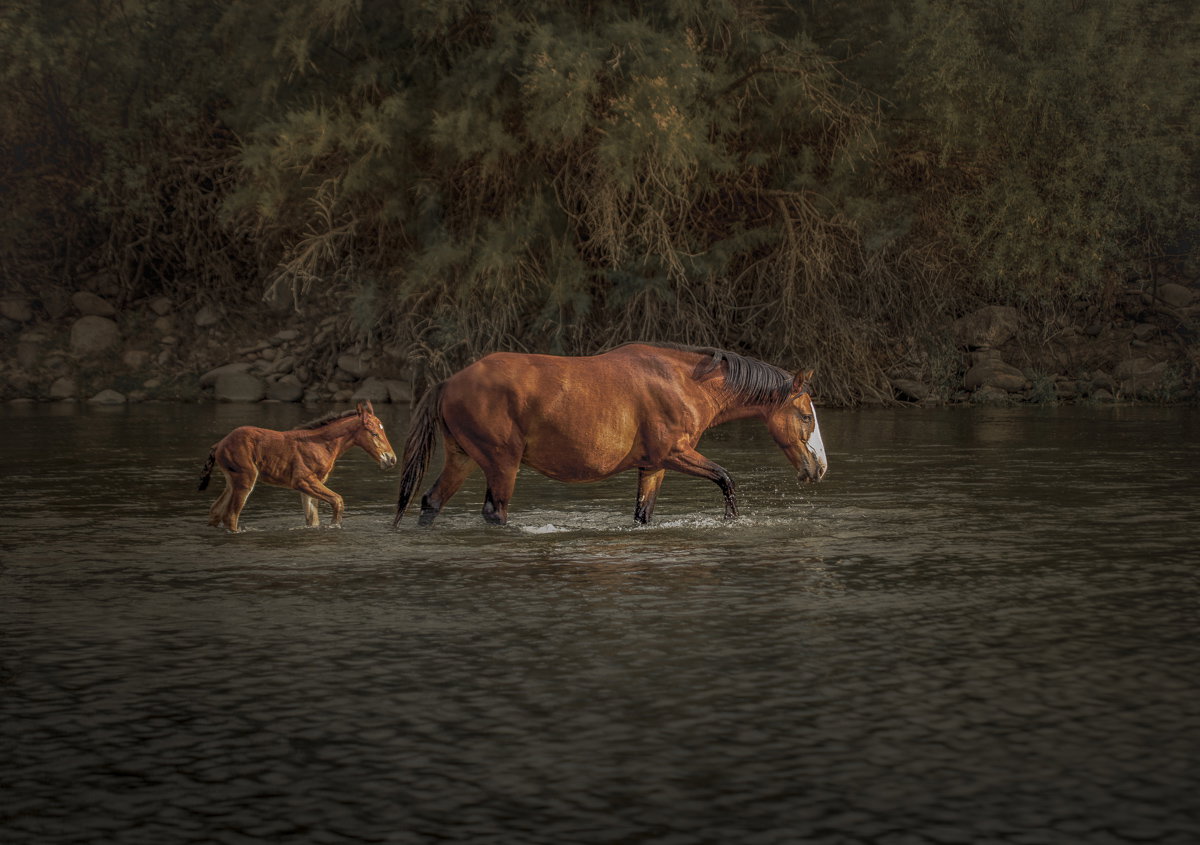 Lesson in Stride