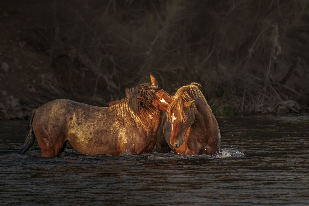 River Embrace