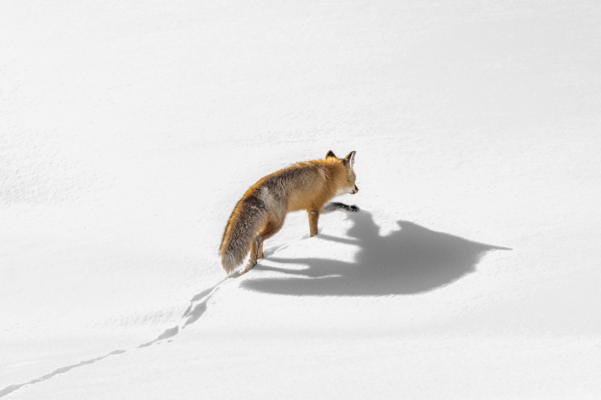 Long Shadow of Hunger
