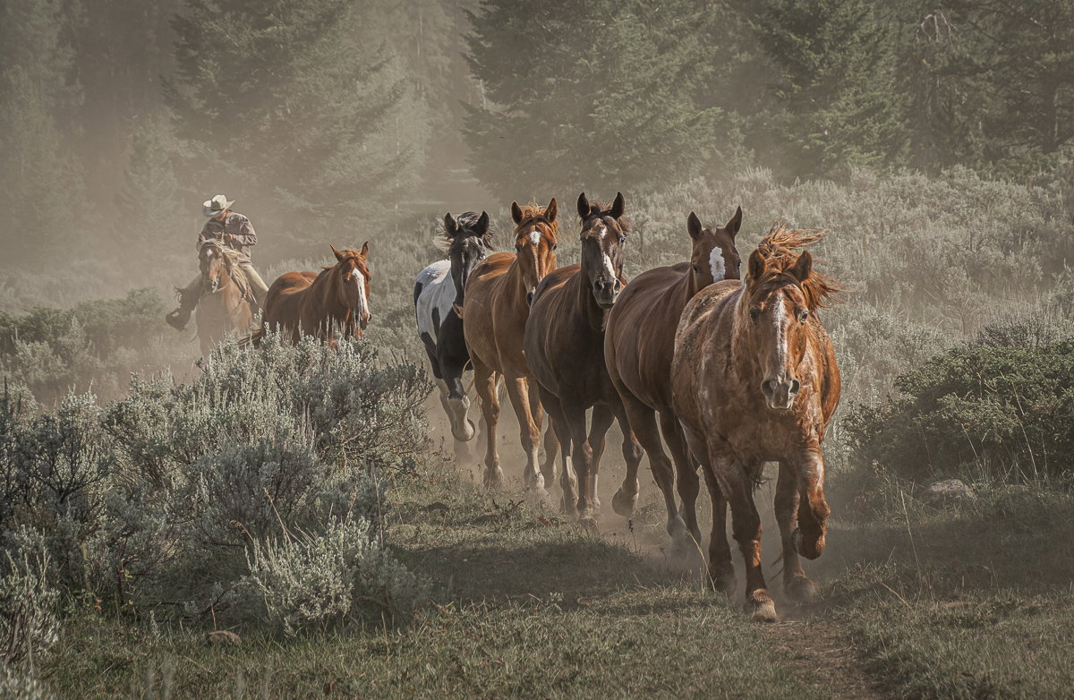 Leading the Way