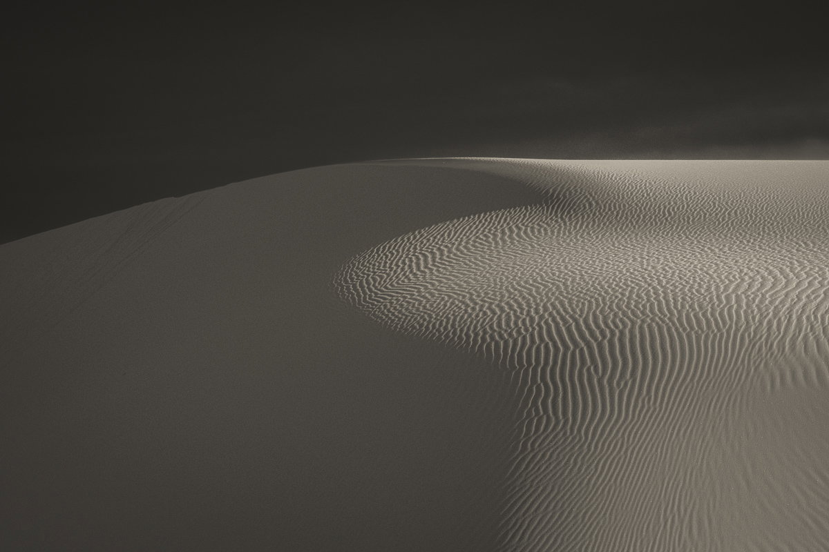 Whispers of the Wind