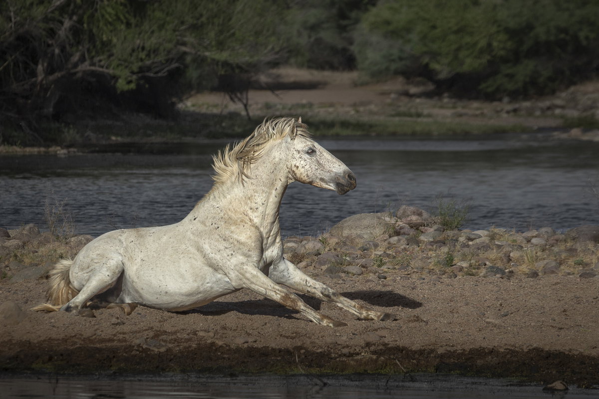 White Spirit