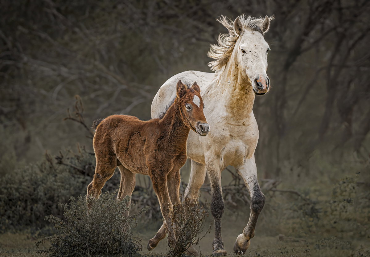 Mother's Grace