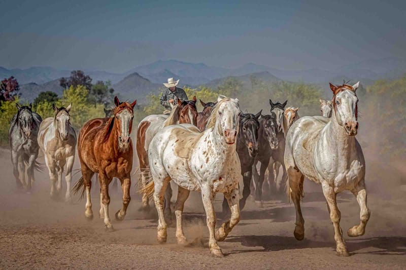 Where Dust Tells Stories