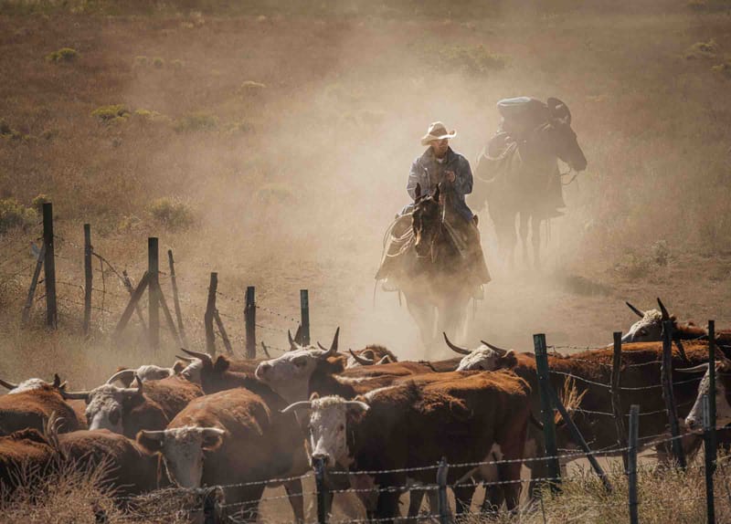 Where Dust Tells Stories