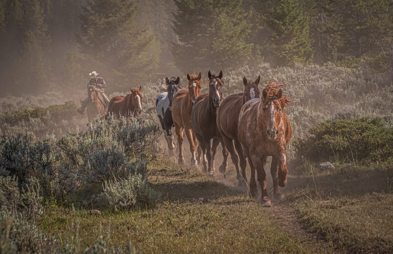 Where Dust Tells Stories