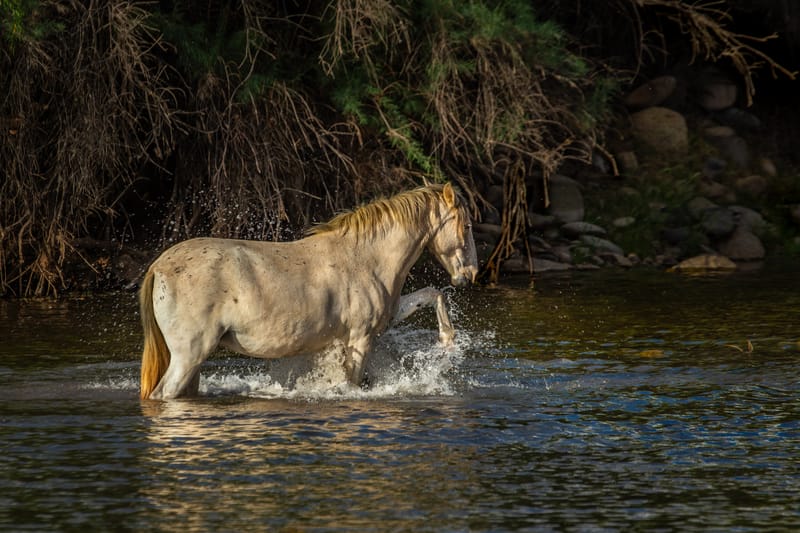 Presence and Passage