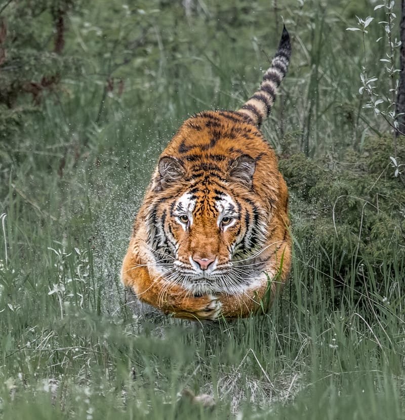 Presence and Passage