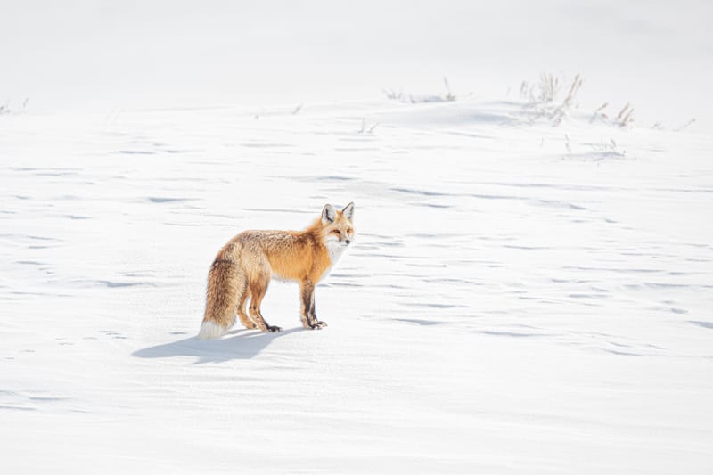 Presence and Passage