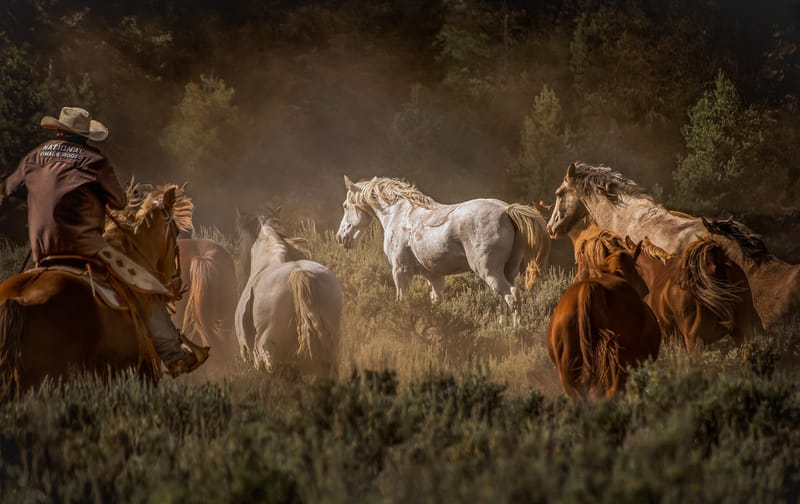 Where Dust Tells Stories