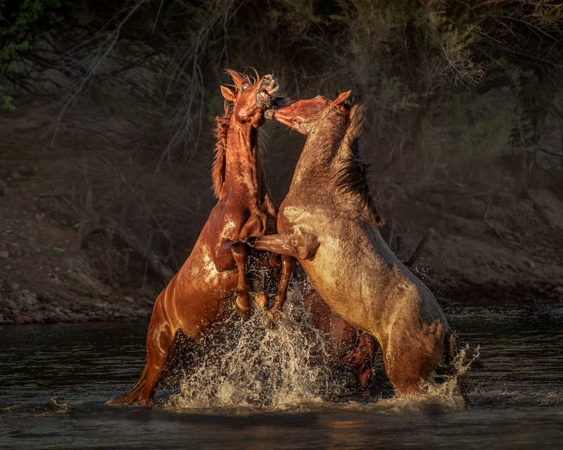 Presence and Passage