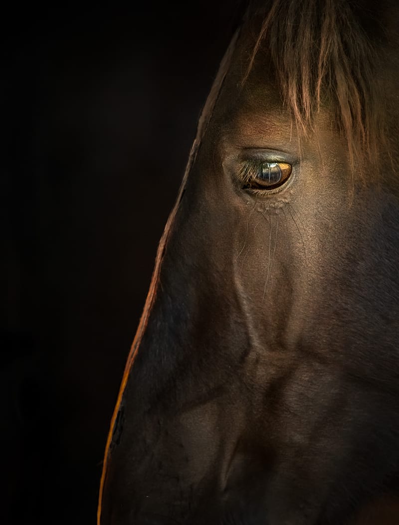 Where Dust Tells Stories