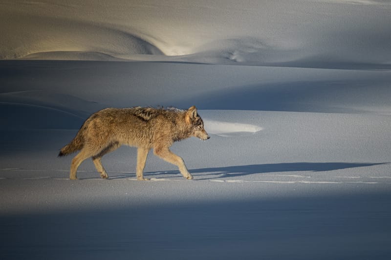 Presence and Passage