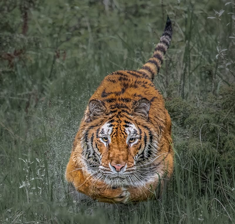 Presence and Passage