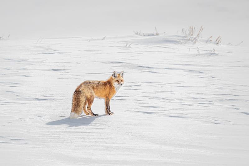 Presence and Passage