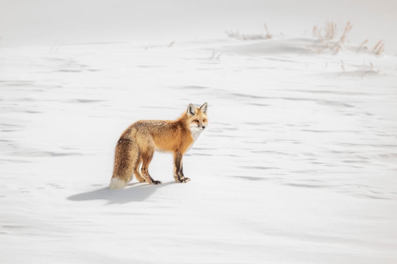 Presence and Passage