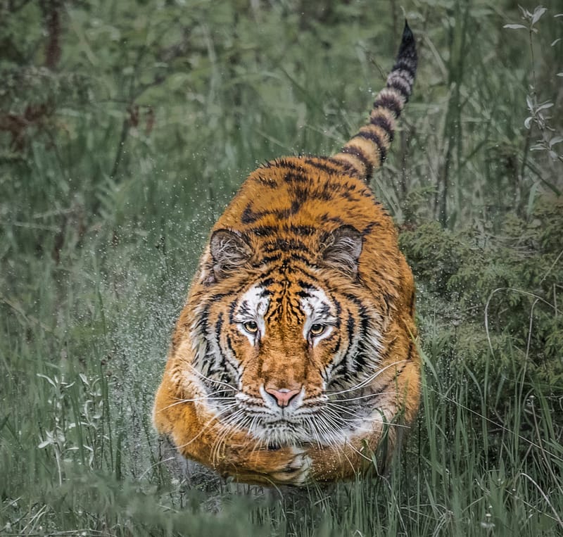 Presence and Passage