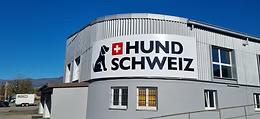 Zuchtzulassungsprüfung (Ankörung) 2026