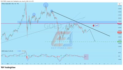📊 تحليل Gold اليوم | استمرار الضغط البيعي وفرص بيع من التصحيحات