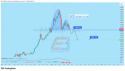 هل يتحول صعود الذهب إلى “ارتداد القط الميت”؟