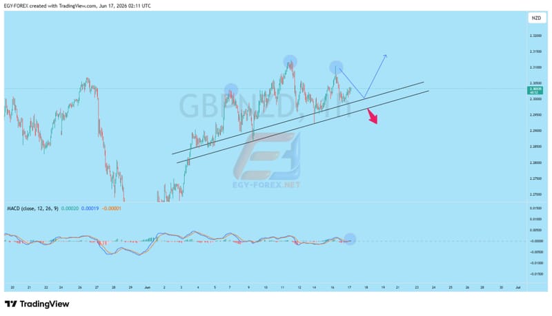 الباوند نيوزلاندى GBP/NZD أسير لدى نموذج الرأس والكتفين على فريم الساعة