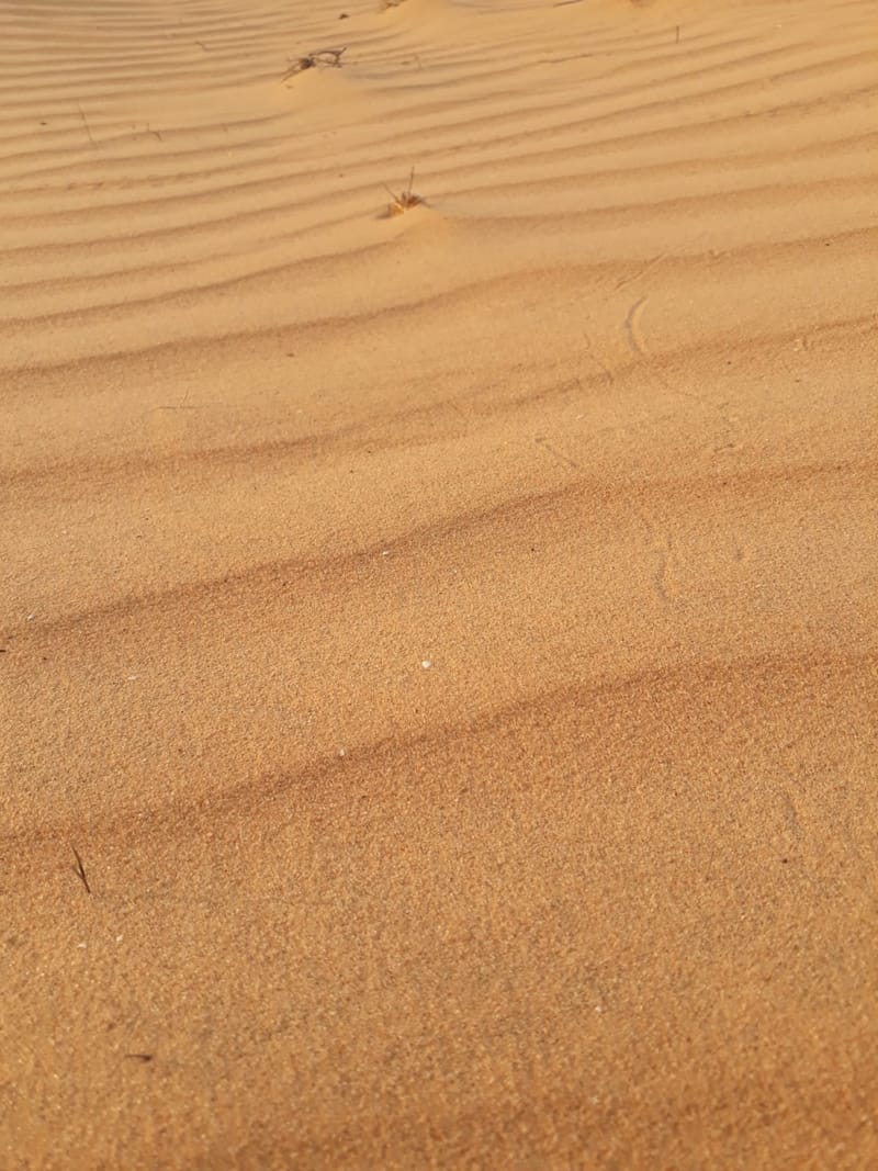 בריאות הטבע / בריאות הנפש - דקה של פסיכולוגיה סביבתית