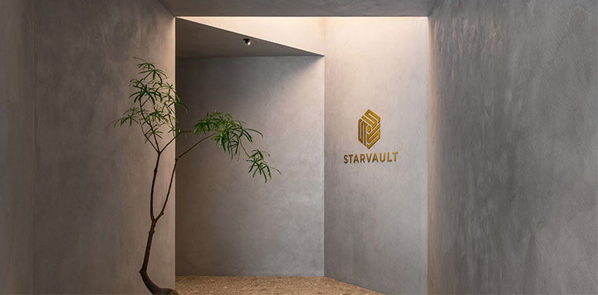 STARVAULT Safe Deposit Box