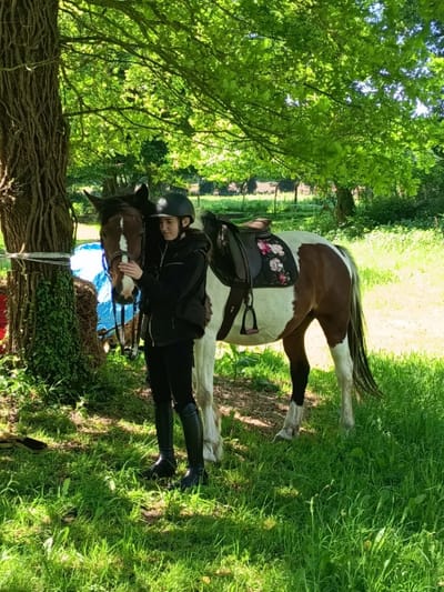 Qui sommes nous ? image