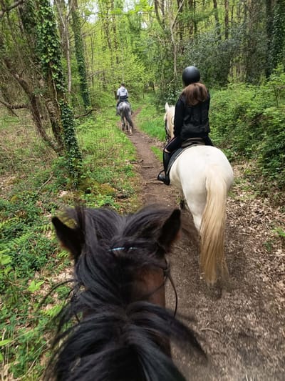 Le Tourisme Equestre c'est quoi ? image