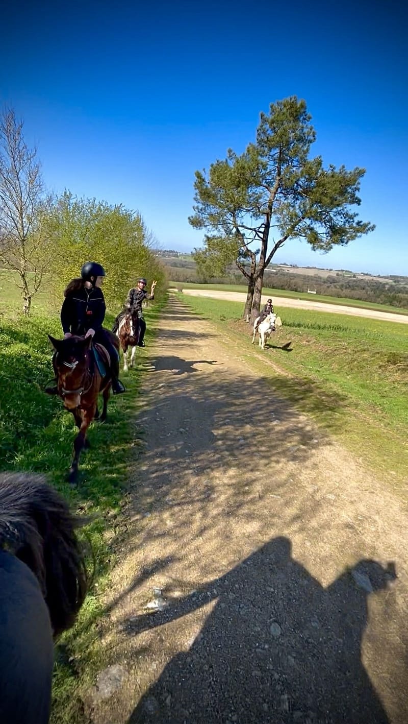 La Porcherie