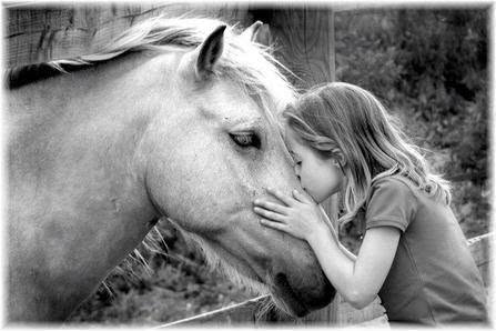 🐴 Médiation Animale