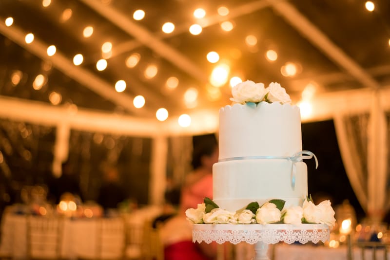 Wedding Reception- July 2025