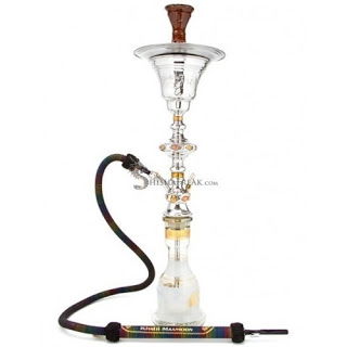 The Growing Popularity of Hookah Shisha in Canada
