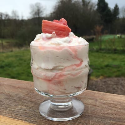 Rhubarb Fruit Fool