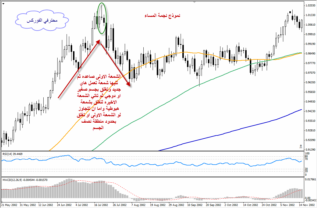 اضغط على الصورة لرؤيتها بالحجم الطبيعي