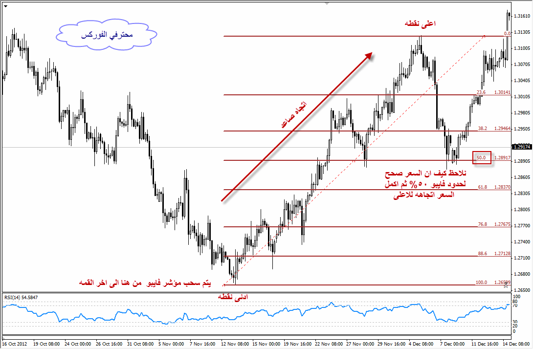 اضغط على الصورة لرؤيتها بالحجم الطبيعي