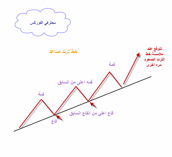 اضغط على الصورة لرؤيتها بالحجم الطبيعي