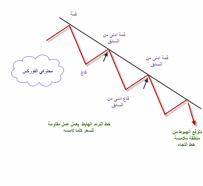 اضغط على الصورة لرؤيتها بالحجم الطبيعي