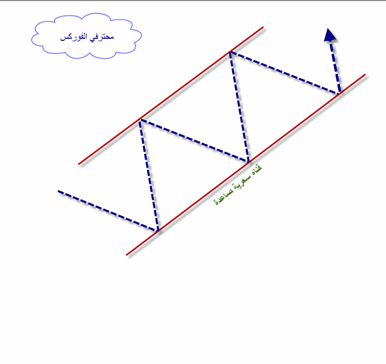 اضغط على الصورة لرؤيتها بالحجم الطبيعي