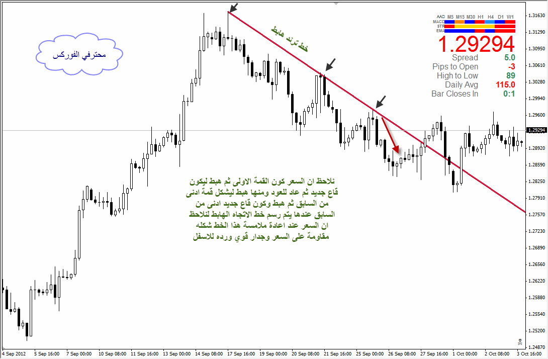 اضغط على الصورة لرؤيتها بالحجم الطبيعي