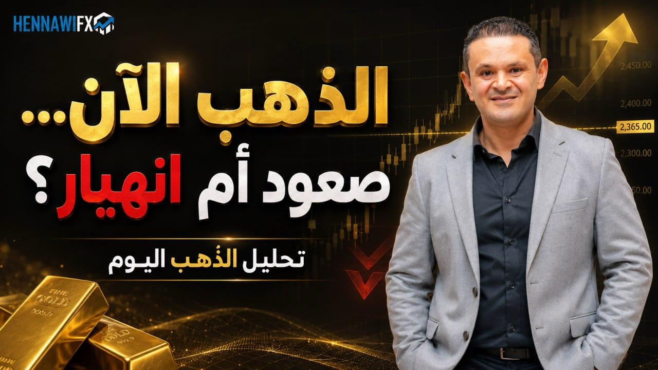 إعادة تسعير الفائدة ومستويات الدعم والتحركات المرتقبة