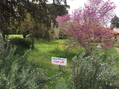 גינה לי בת-קיימא: ראיון באתר "זויות"