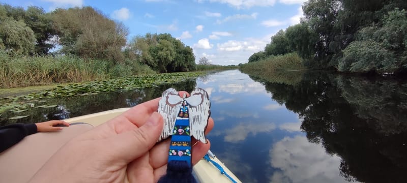 Călătorie cu Îngeri - Journey with Angels