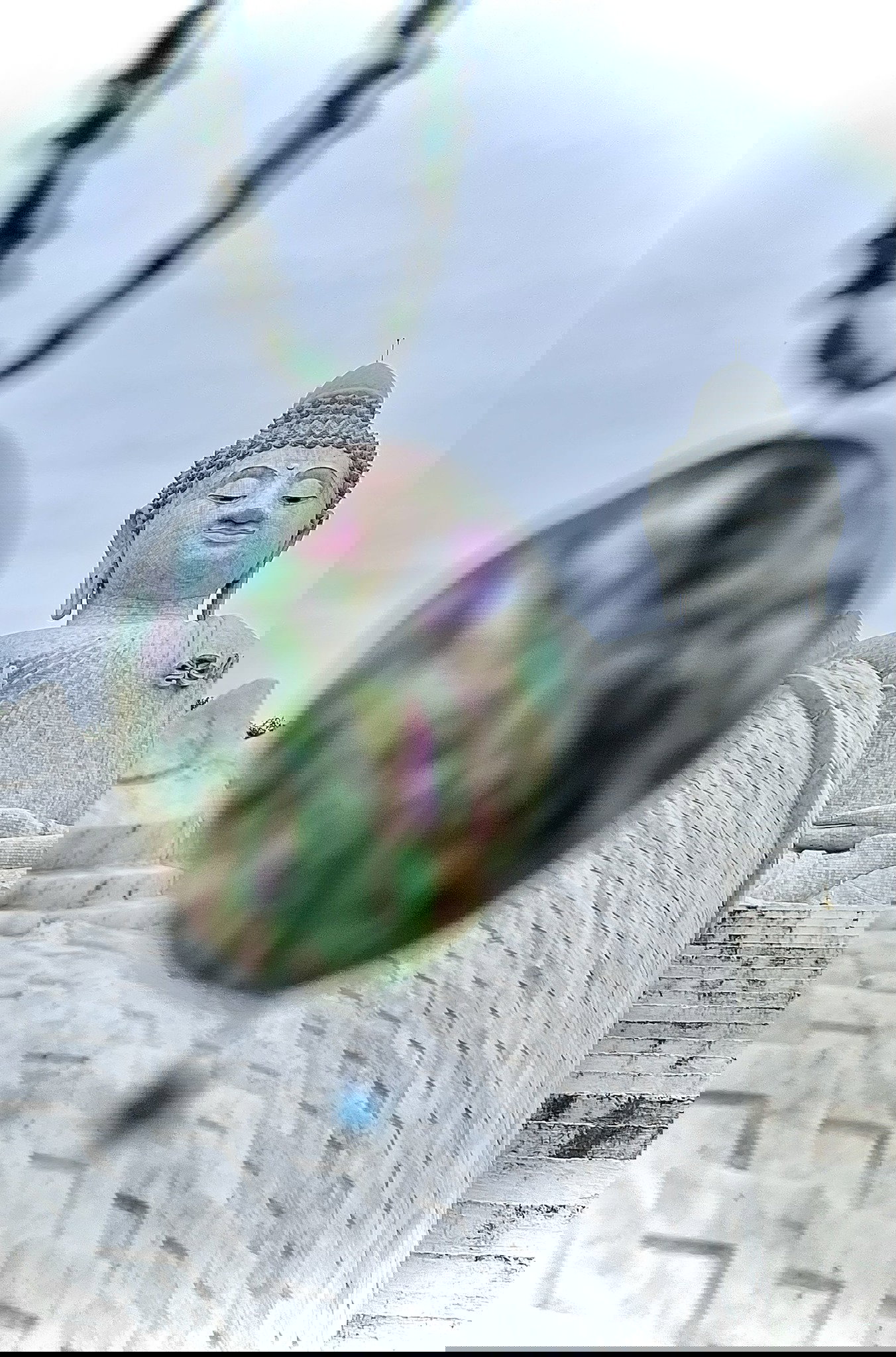 Viaggio con gli angeli - Viaggio con gli angeli