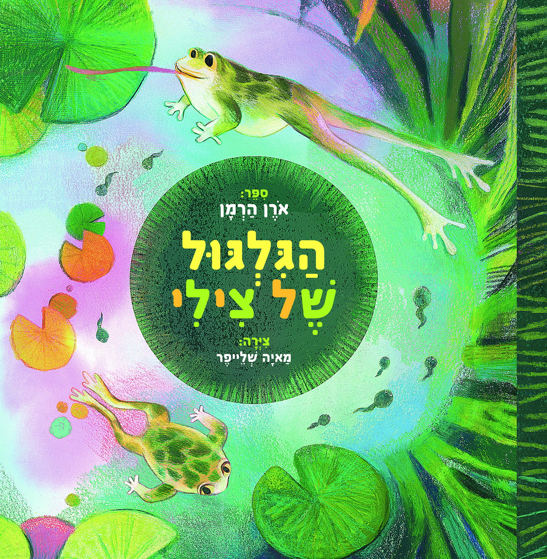 הַגִּלְגּוּל שֶׁל צִילִי / אֹרֶן הַרְמָן / דביר