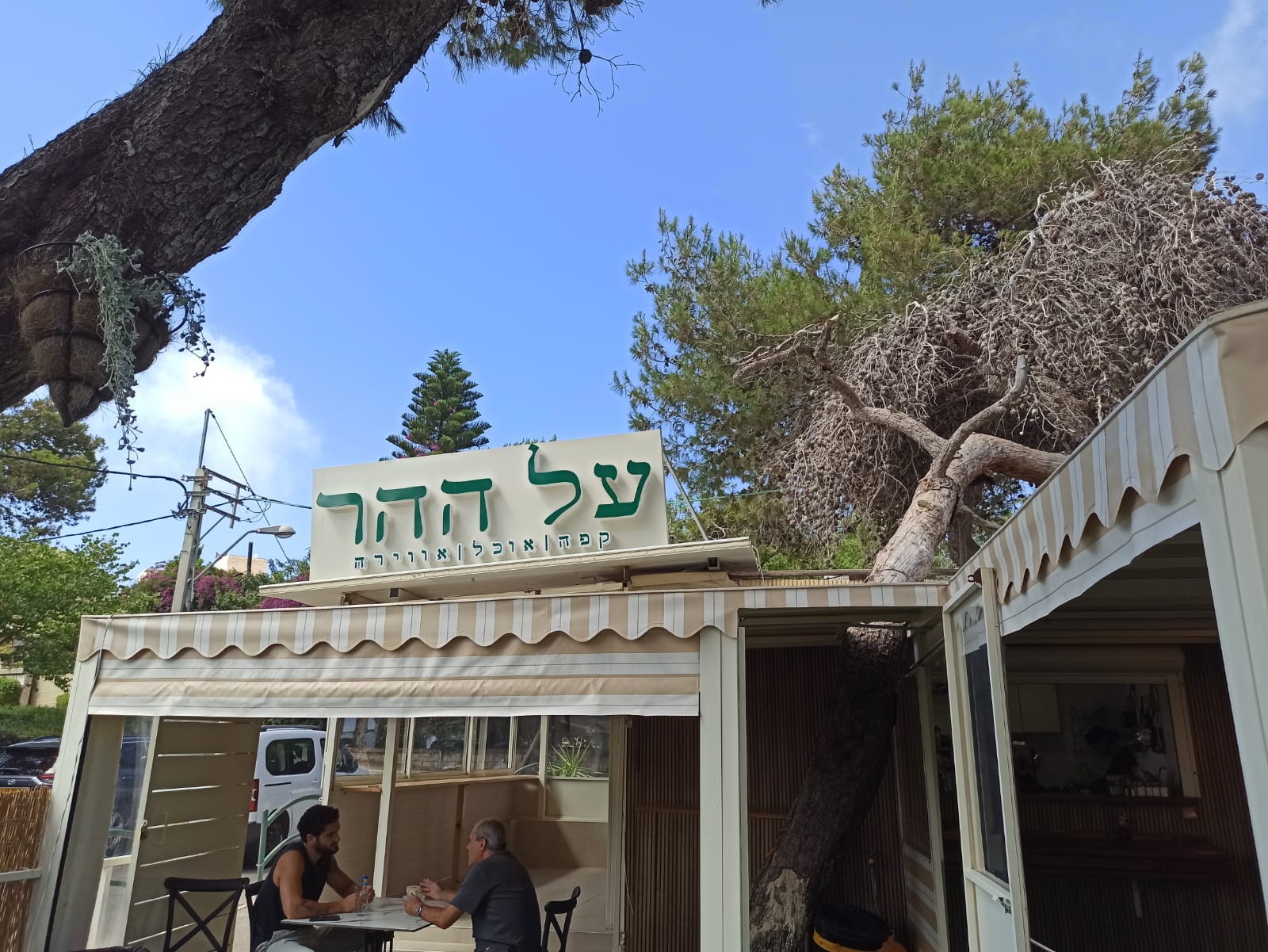 על ההר: זה חייב להצליח!