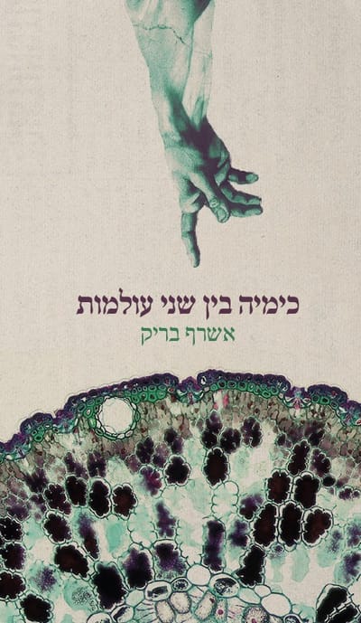 כימיה בין שני עולמות / אשרף בריק / פרדס