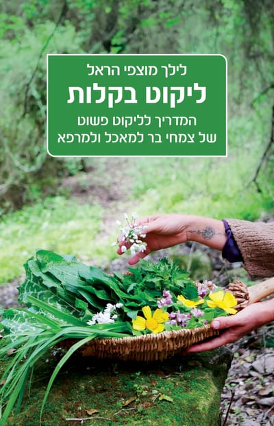 ליקוט בקלות לילך / מוצפי הראל / כינרת