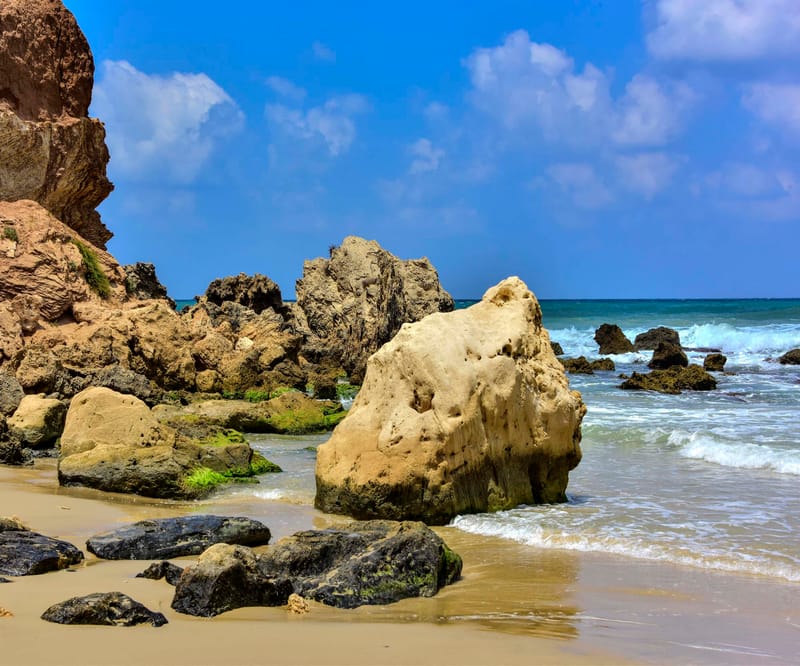 ליאורה איגר-דרייפוס: מסע בין נופים