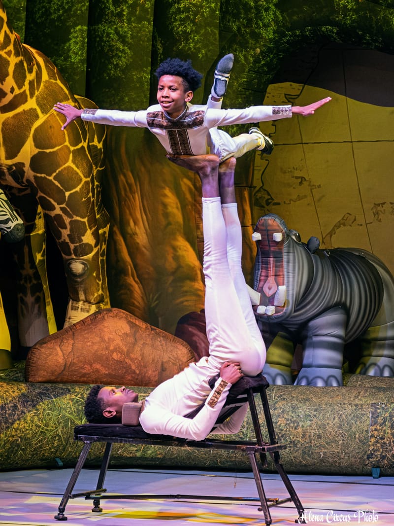 Haifa Auditorium hosts Circus Bravo